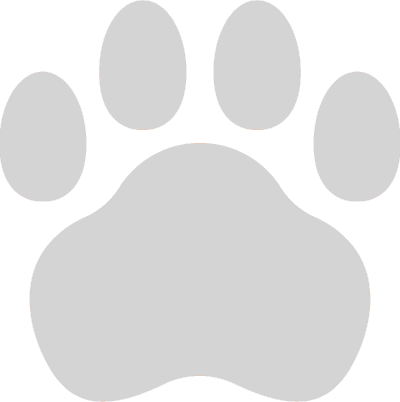 Hundefriseur Wiesbaen